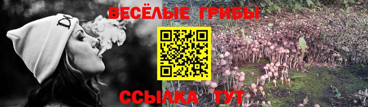 Вышний Волочёк  где можно купить наркотик  Вход с VPN  Галлюциногенные грибы мухоморы 